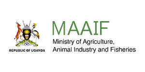 Ministry-of-Agriculture-Animal-Industry-and-Fisheries-MAAIF.png
