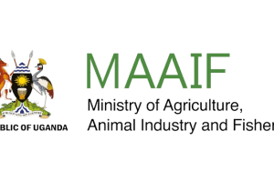 Ministry-of-Agriculture-Animal-Industry-and-Fisheries-MAAIF.png